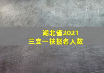 湖北省2021三支一扶报名人数