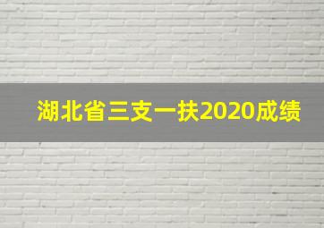 湖北省三支一扶2020成绩