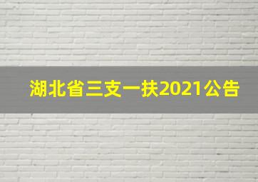 湖北省三支一扶2021公告