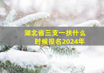 湖北省三支一扶什么时候报名2024年