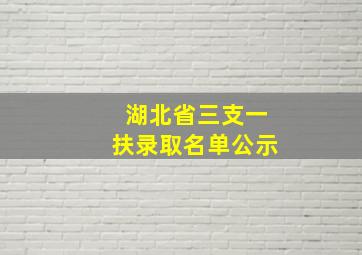 湖北省三支一扶录取名单公示