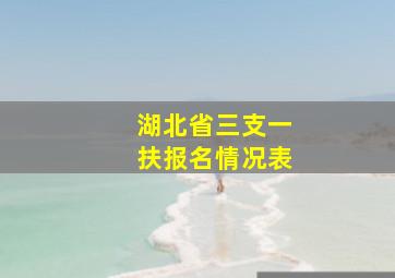 湖北省三支一扶报名情况表