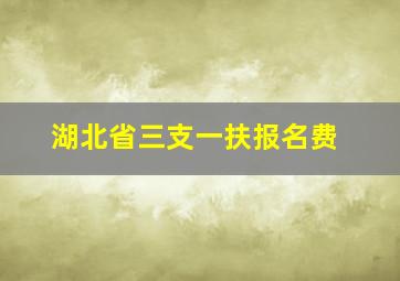 湖北省三支一扶报名费