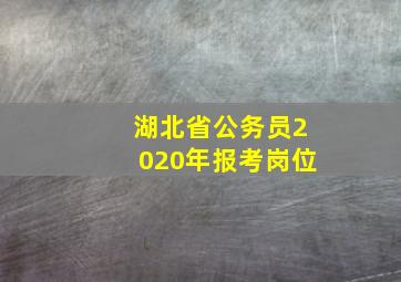 湖北省公务员2020年报考岗位