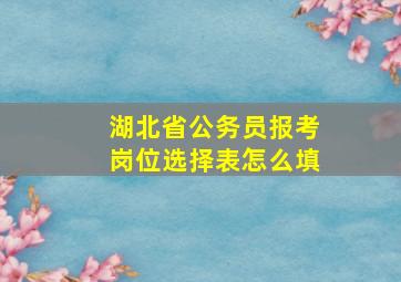 湖北省公务员报考岗位选择表怎么填