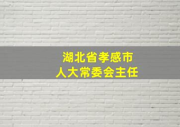 湖北省孝感市人大常委会主任