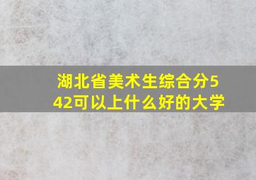 湖北省美术生综合分542可以上什么好的大学