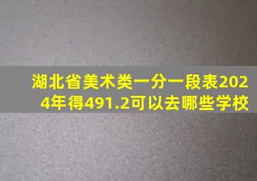 湖北省美术类一分一段表2024年得491.2可以去哪些学校