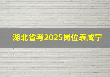 湖北省考2025岗位表咸宁