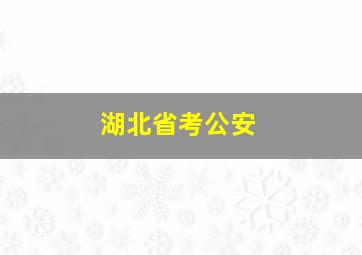 湖北省考公安