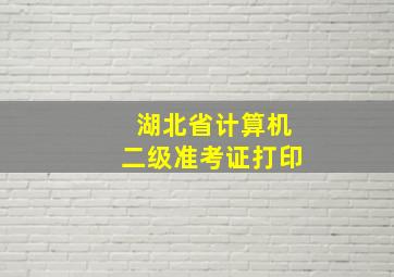 湖北省计算机二级准考证打印