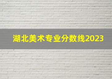 湖北美术专业分数线2023