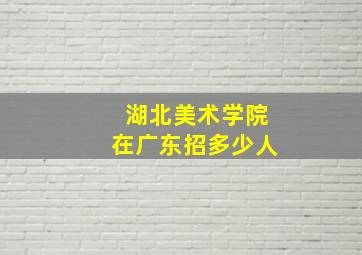 湖北美术学院在广东招多少人