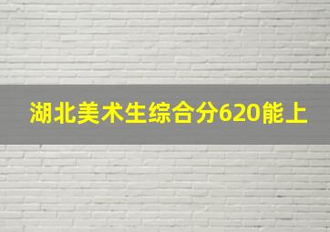 湖北美术生综合分620能上