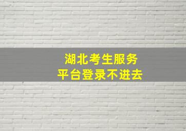 湖北考生服务平台登录不进去