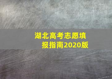 湖北高考志愿填报指南2020版