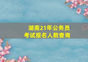 湖南21年公务员考试报名人数查询