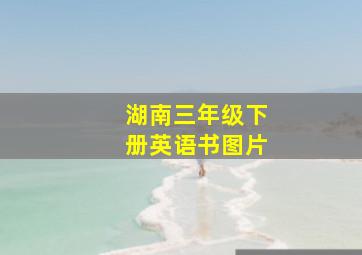 湖南三年级下册英语书图片