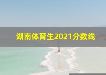 湖南体育生2021分数线