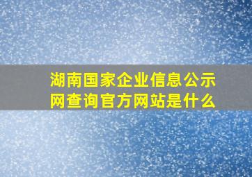 湖南国家企业信息公示网查询官方网站是什么