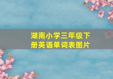 湖南小学三年级下册英语单词表图片