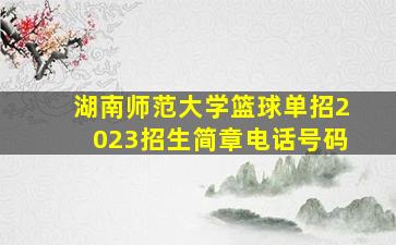 湖南师范大学篮球单招2023招生简章电话号码