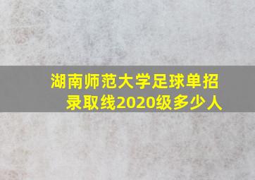 湖南师范大学足球单招录取线2020级多少人