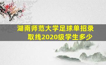 湖南师范大学足球单招录取线2020级学生多少