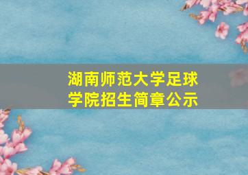 湖南师范大学足球学院招生简章公示