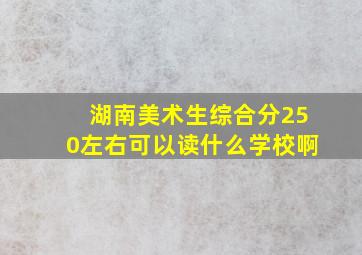 湖南美术生综合分250左右可以读什么学校啊