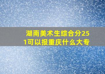 湖南美术生综合分251可以报重庆什么大专