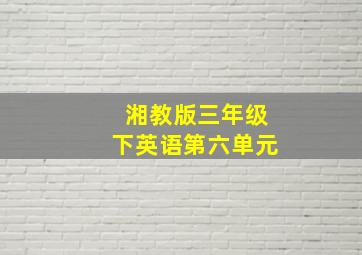 湘教版三年级下英语第六单元