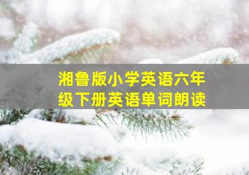 湘鲁版小学英语六年级下册英语单词朗读