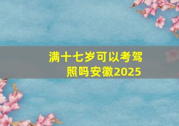 满十七岁可以考驾照吗安徽2025