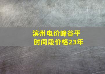 滨州电价峰谷平时间段价格23年