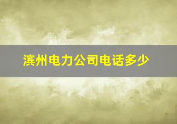 滨州电力公司电话多少