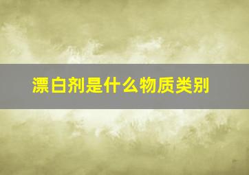 漂白剂是什么物质类别