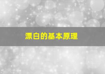 漂白的基本原理