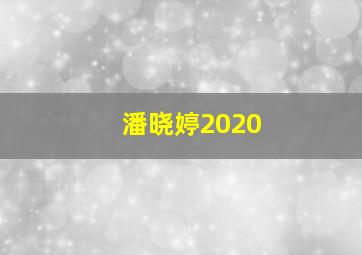 潘晓婷2020