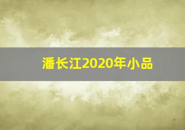 潘长江2020年小品