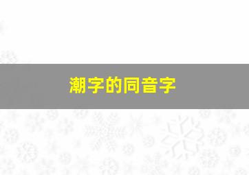 潮字的同音字