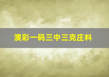 澳彩一码三中三克庄料