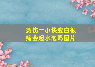 烫伤一小块变白很痛会起水泡吗图片