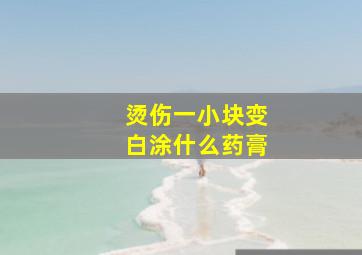 烫伤一小块变白涂什么药膏