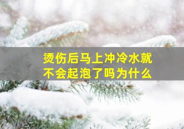 烫伤后马上冲冷水就不会起泡了吗为什么