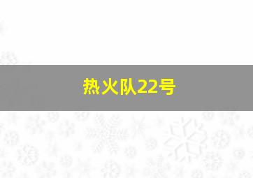 热火队22号