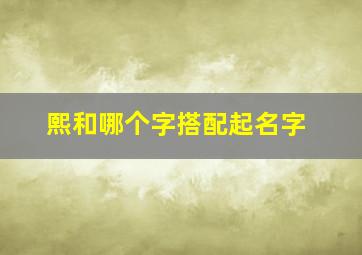 熙和哪个字搭配起名字