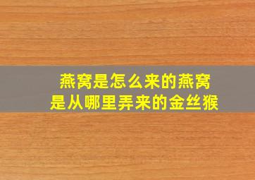 燕窝是怎么来的燕窝是从哪里弄来的金丝猴