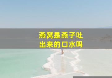 燕窝是燕子吐出来的口水吗