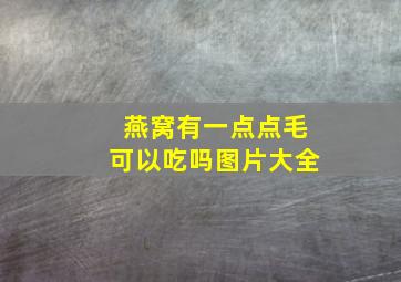 燕窝有一点点毛可以吃吗图片大全